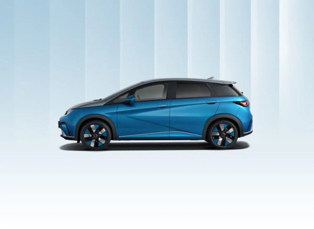 Byd Dolphin Surf nuova a Torino (2)