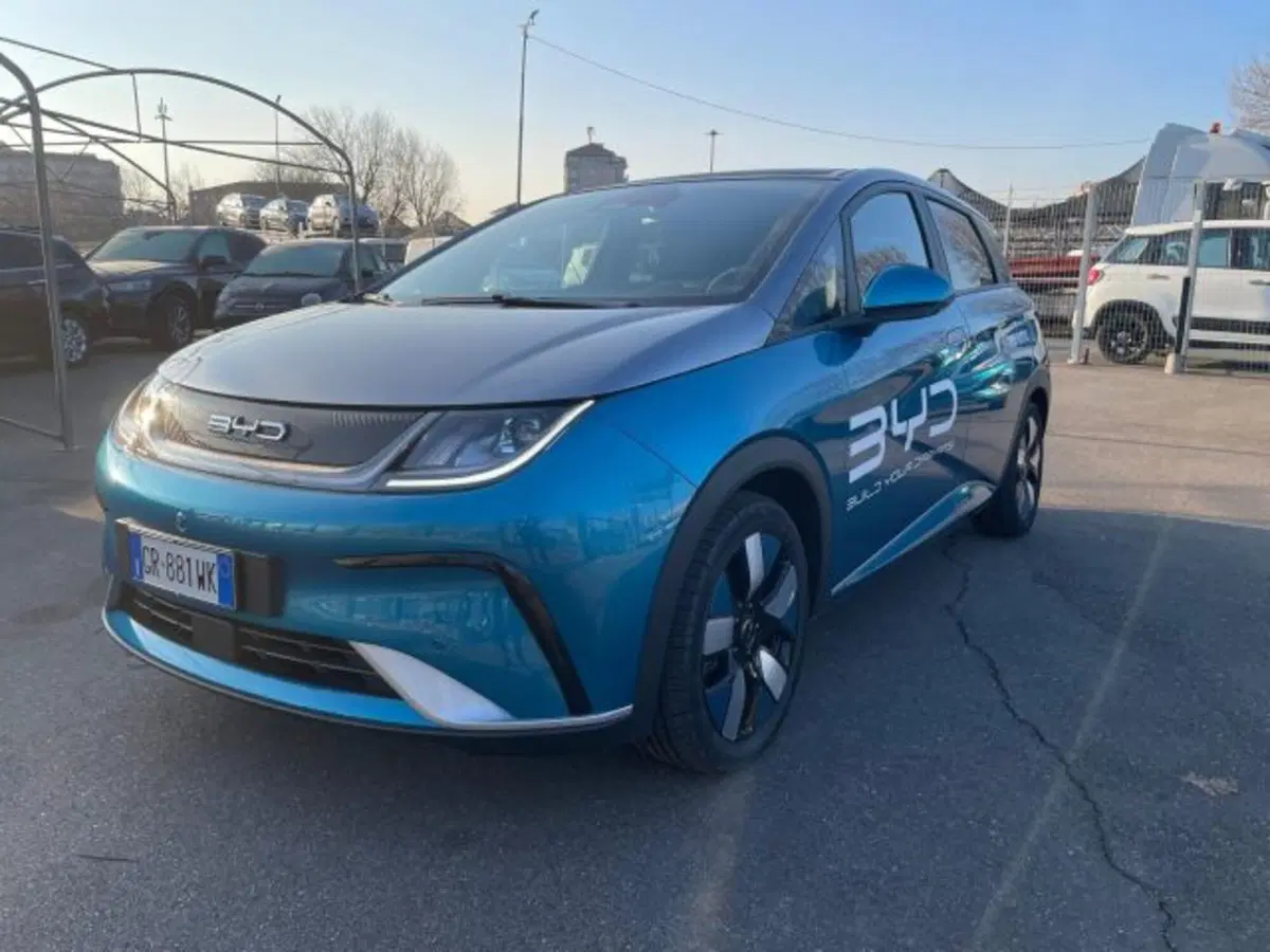 Byd Dolphin Surf usata a Torino
