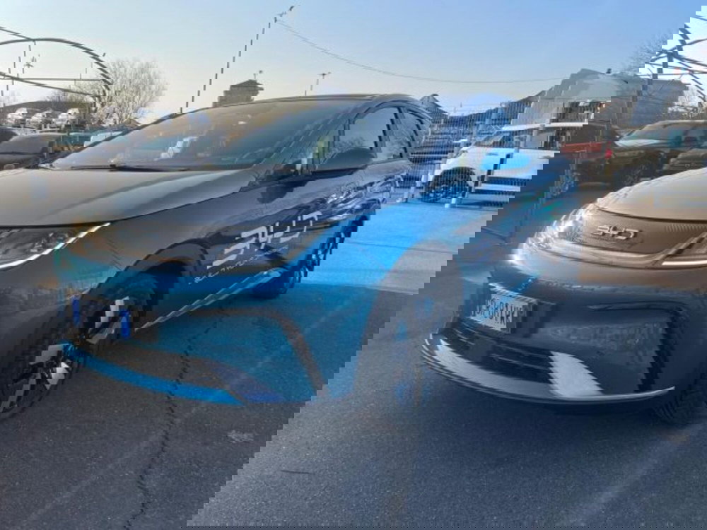 Byd Dolphin Surf usata a Torino