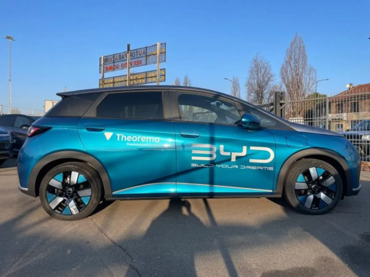 Byd Dolphin Surf usata a Torino (10)