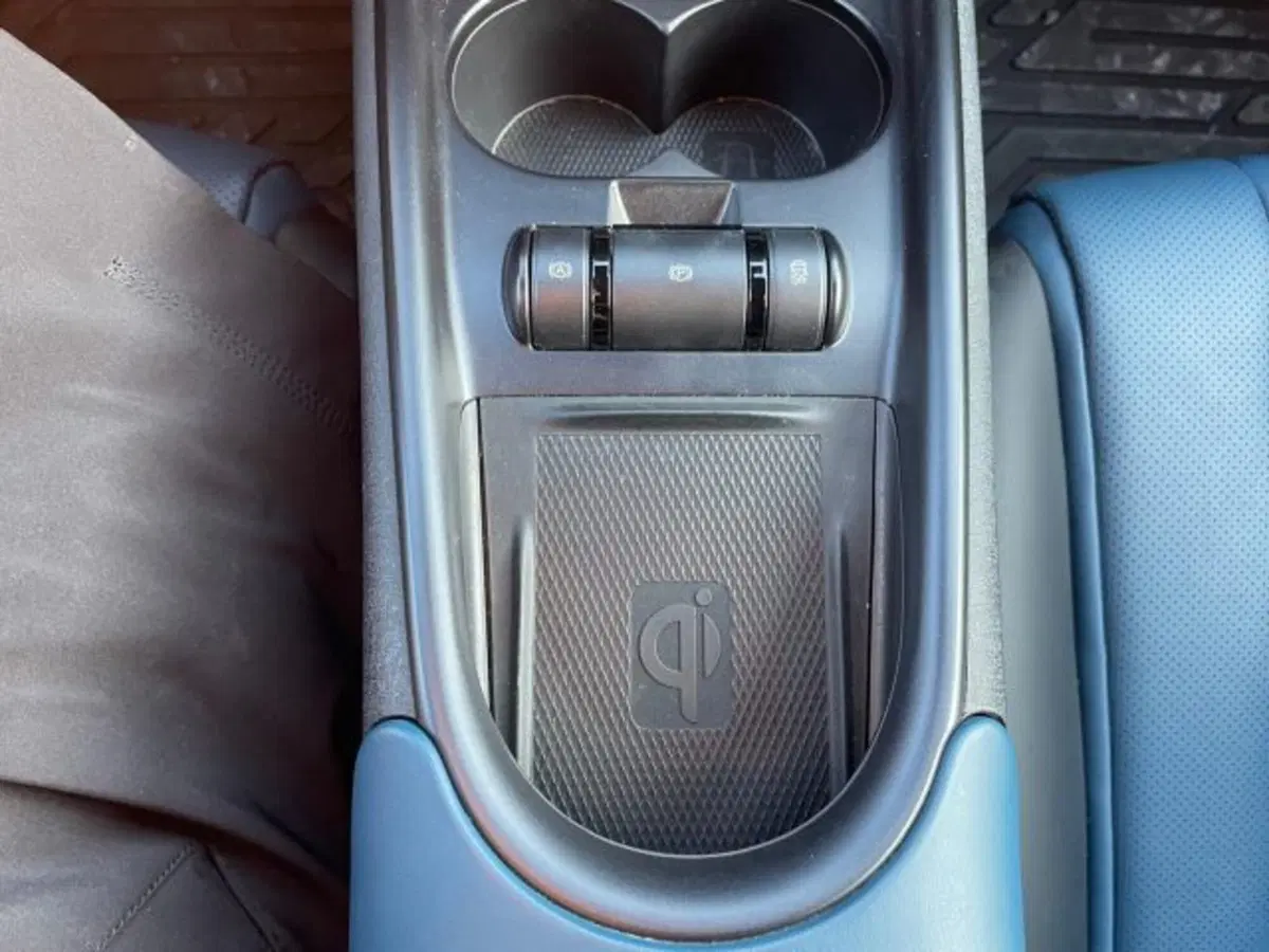 Byd Dolphin Surf usata a Torino (15)