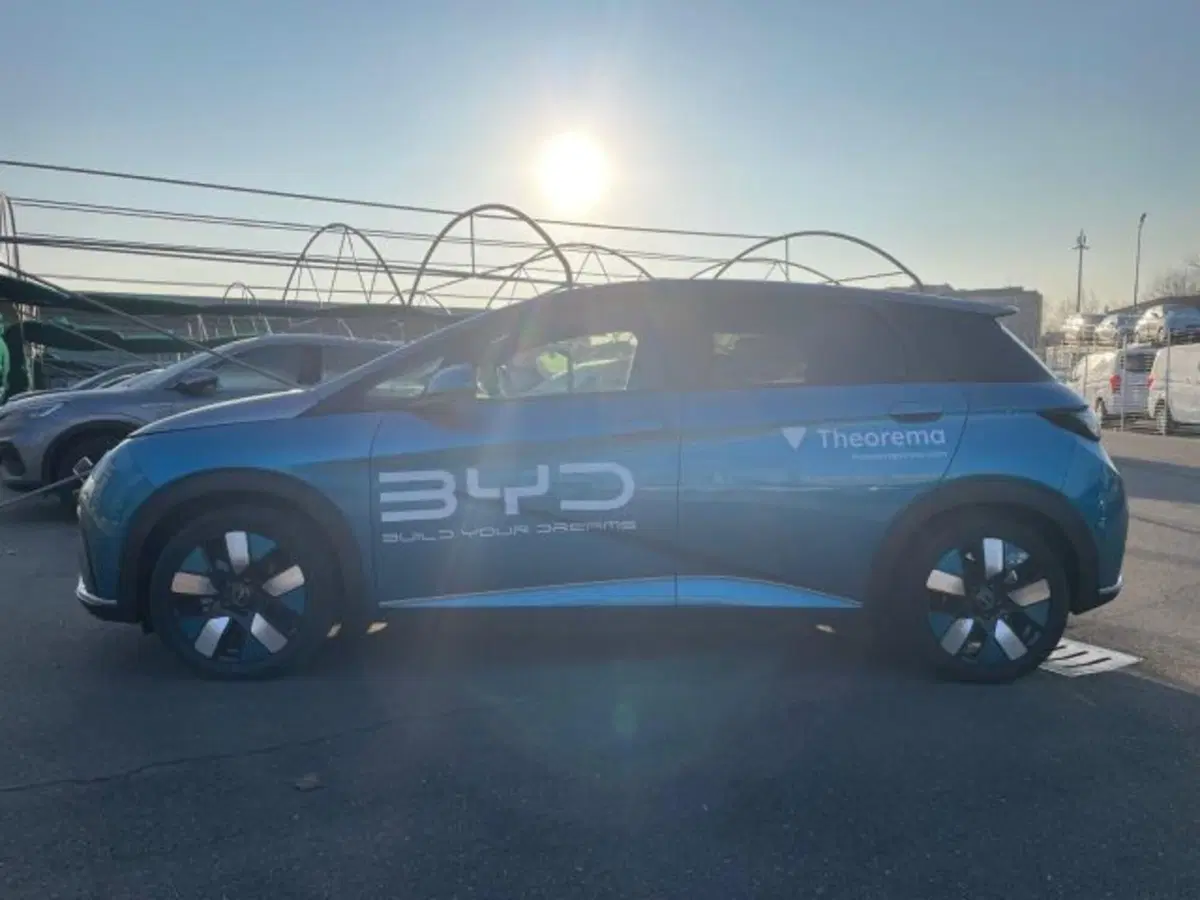 Byd Dolphin Surf usata a Torino (2)