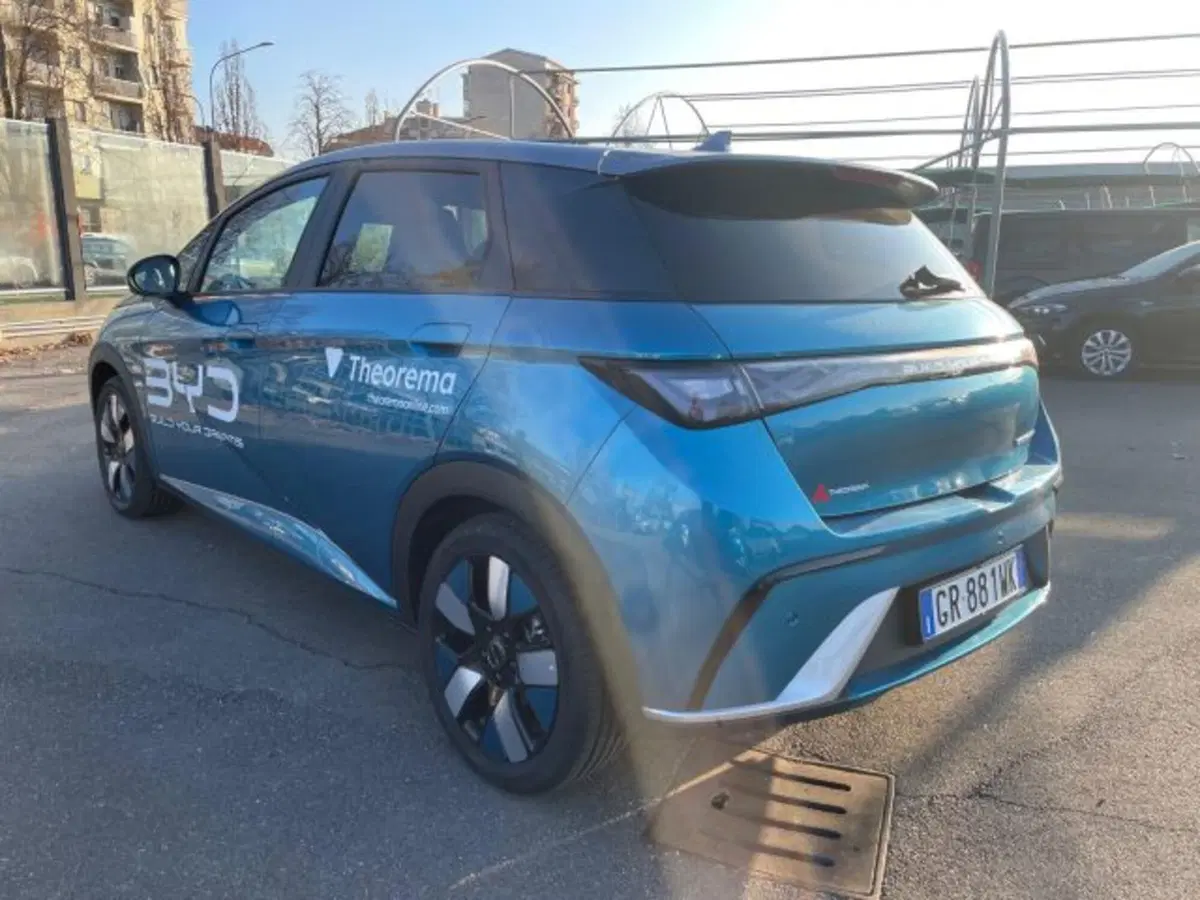 Byd Dolphin Surf usata a Torino (3)