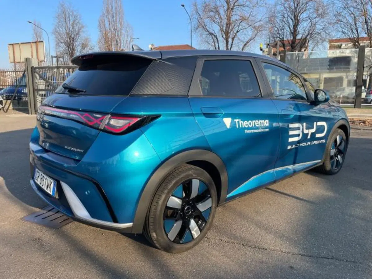 Byd Dolphin Surf usata a Torino (4)