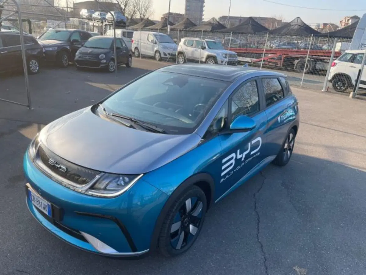 Byd Dolphin Surf usata a Torino (5)