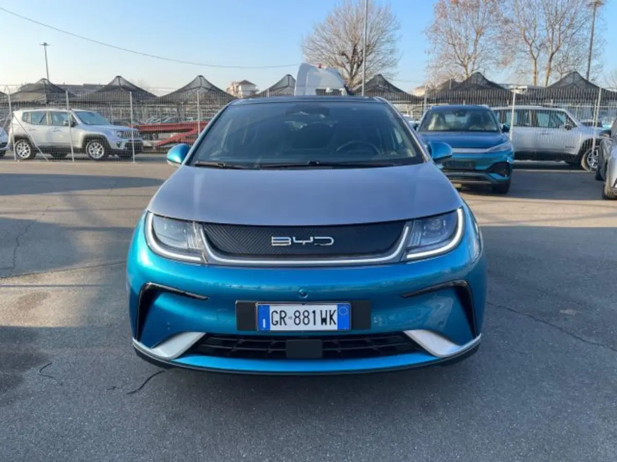 Byd Dolphin Surf usata a Torino (8)