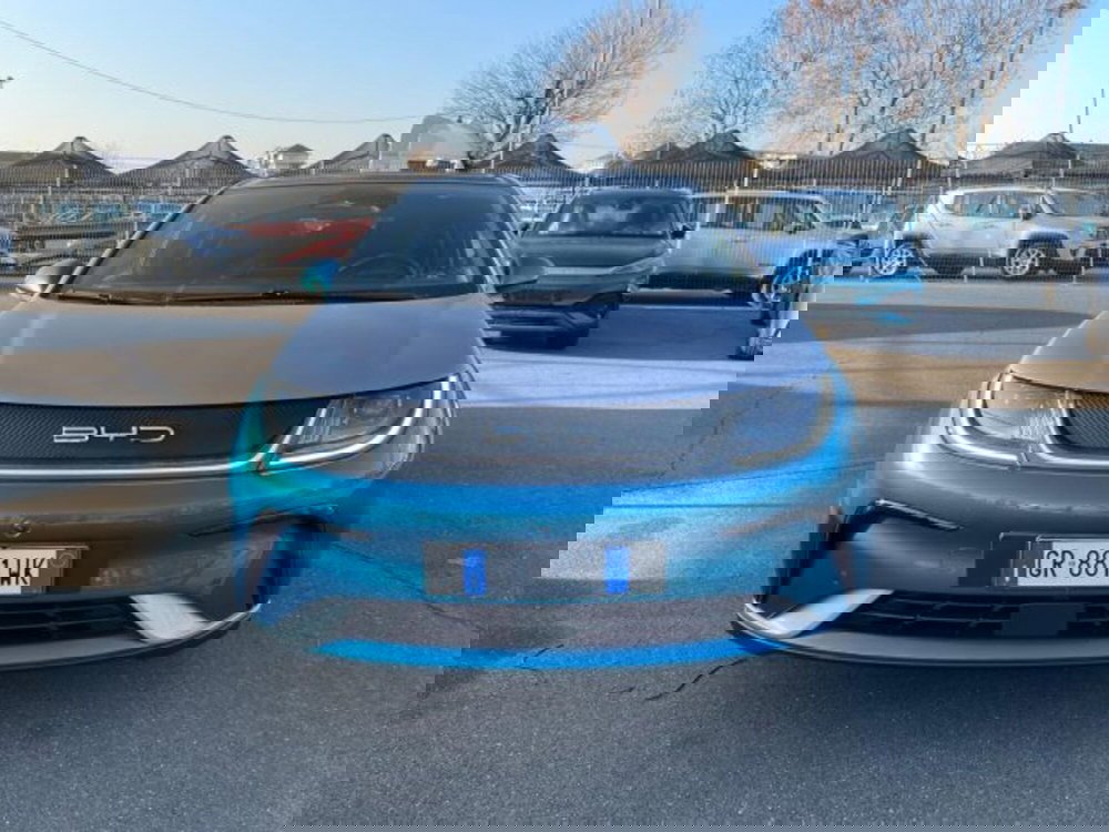 Byd Dolphin Surf usata a Torino (8)