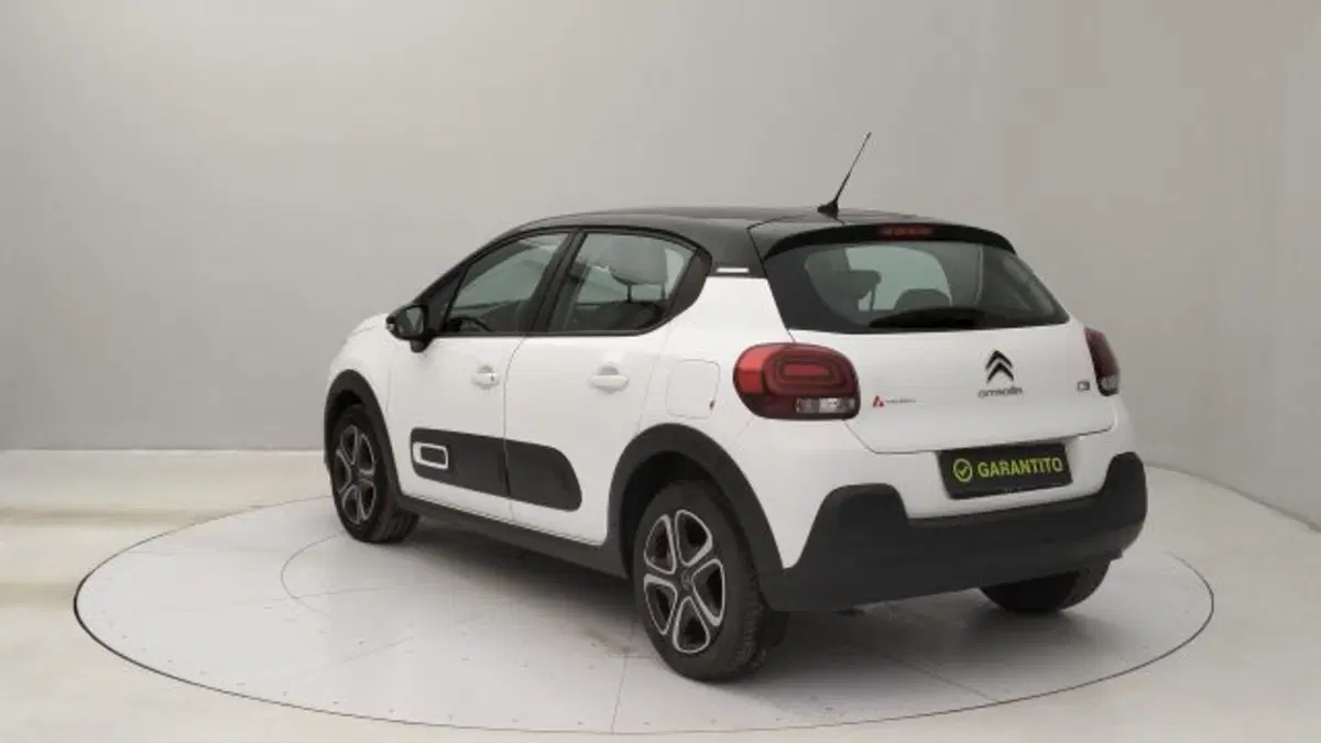Citroen C3 usata a Torino (3)