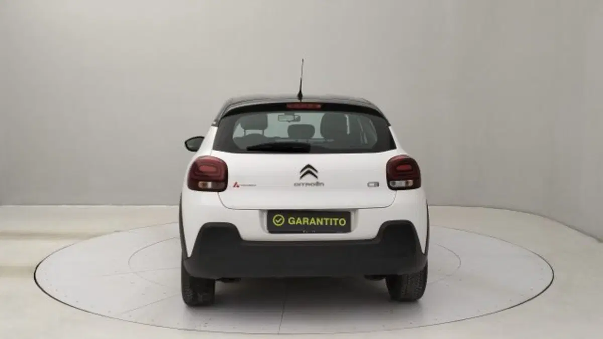 Citroen C3 usata a Torino (4)