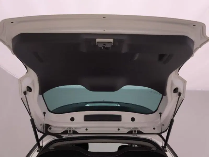 Citroen C3 Aircross usata a Torino (19)
