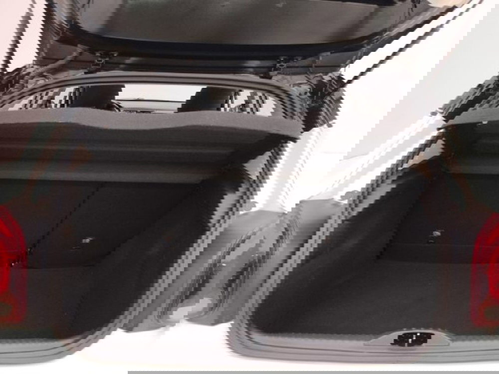 Citroen C3 usata a Torino (18)