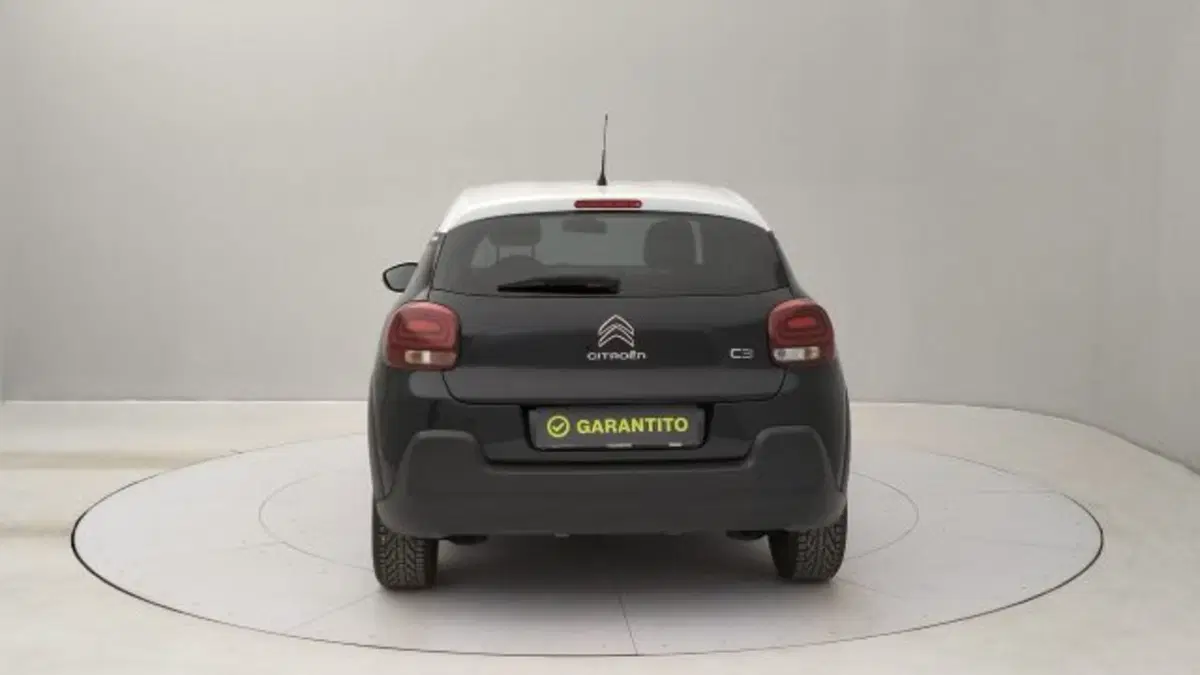 Citroen C3 usata a Torino (4)