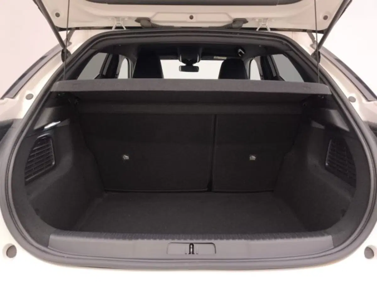 Ds DS 3 usata a Torino (18)