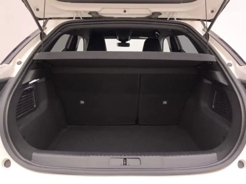 Ds DS 3 usata a Torino (18)