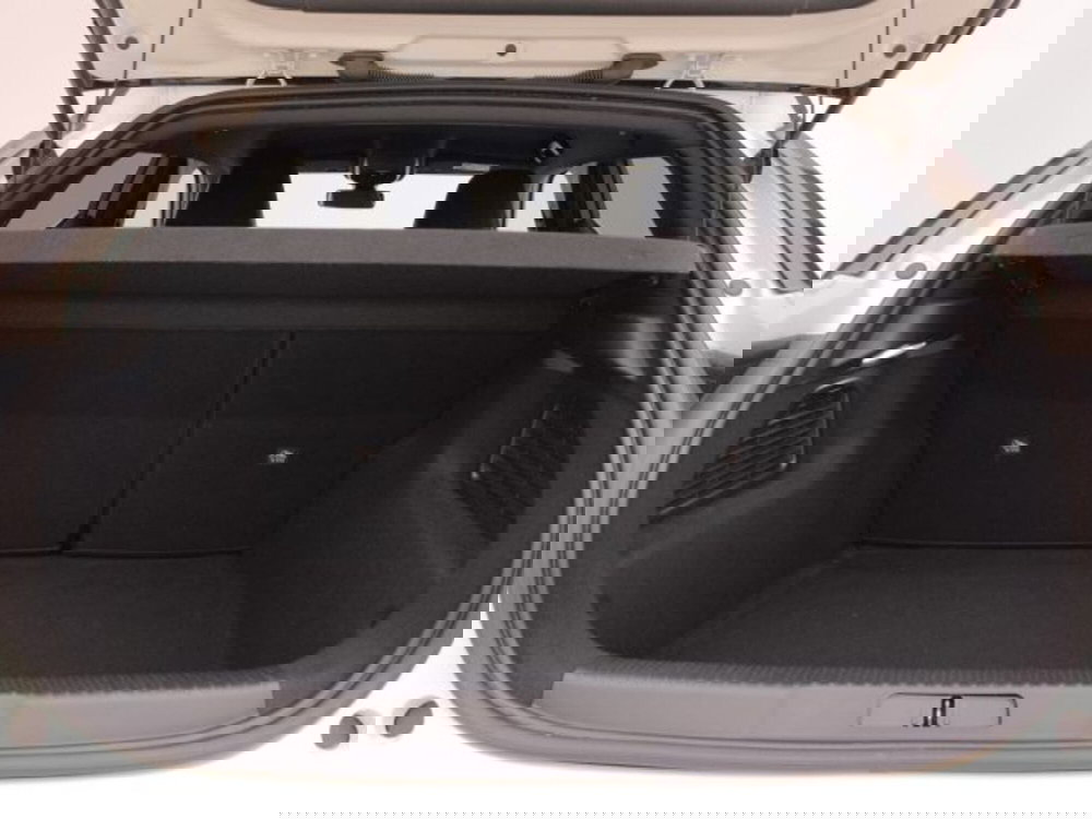 Ds DS 3 usata a Torino (18)