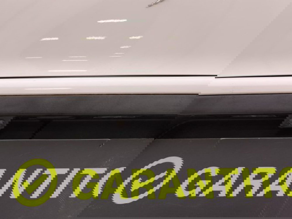 Ds DS 3 usata a Torino (20)