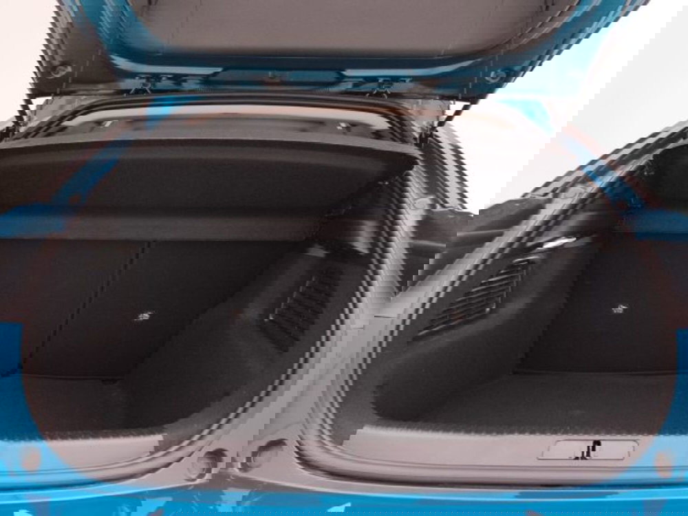 Ds DS 3 usata a Torino (18)