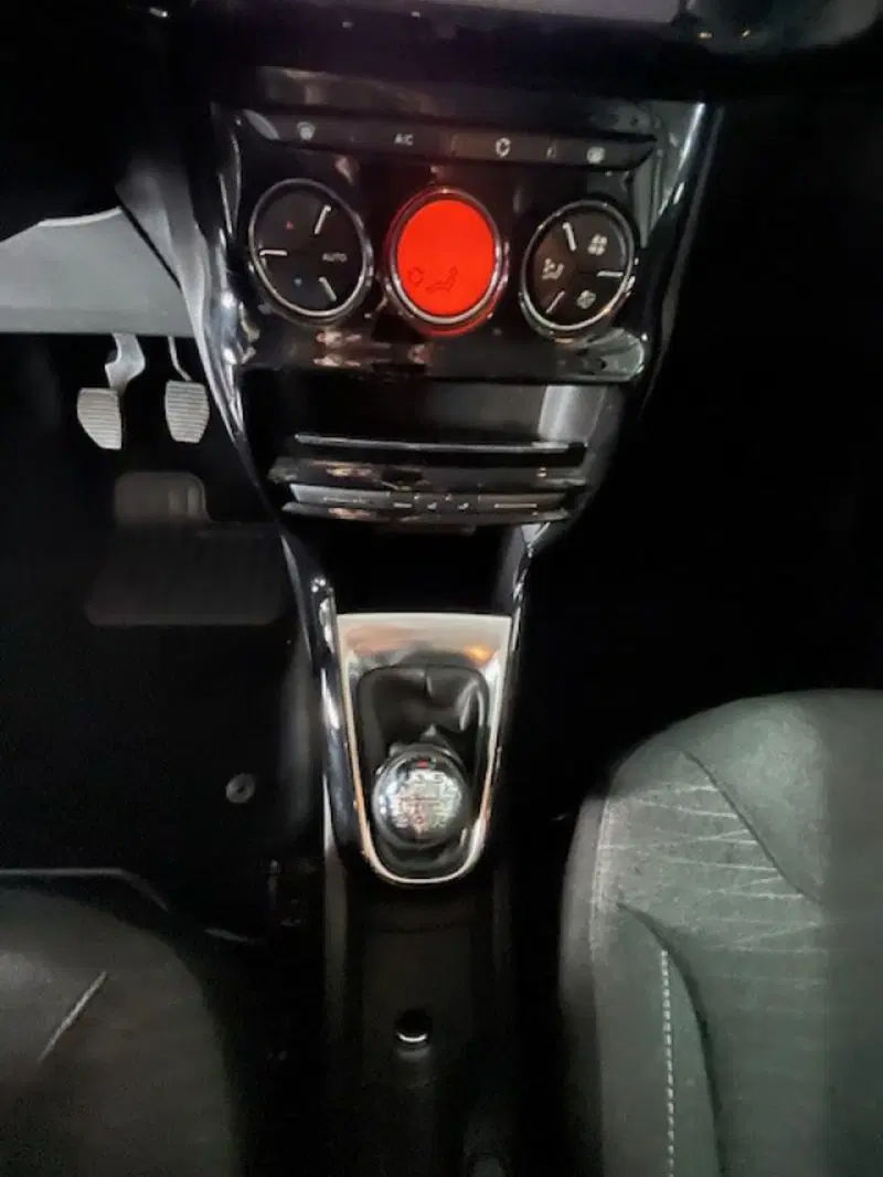 Citroen C3 Picasso usata a Torino (15)