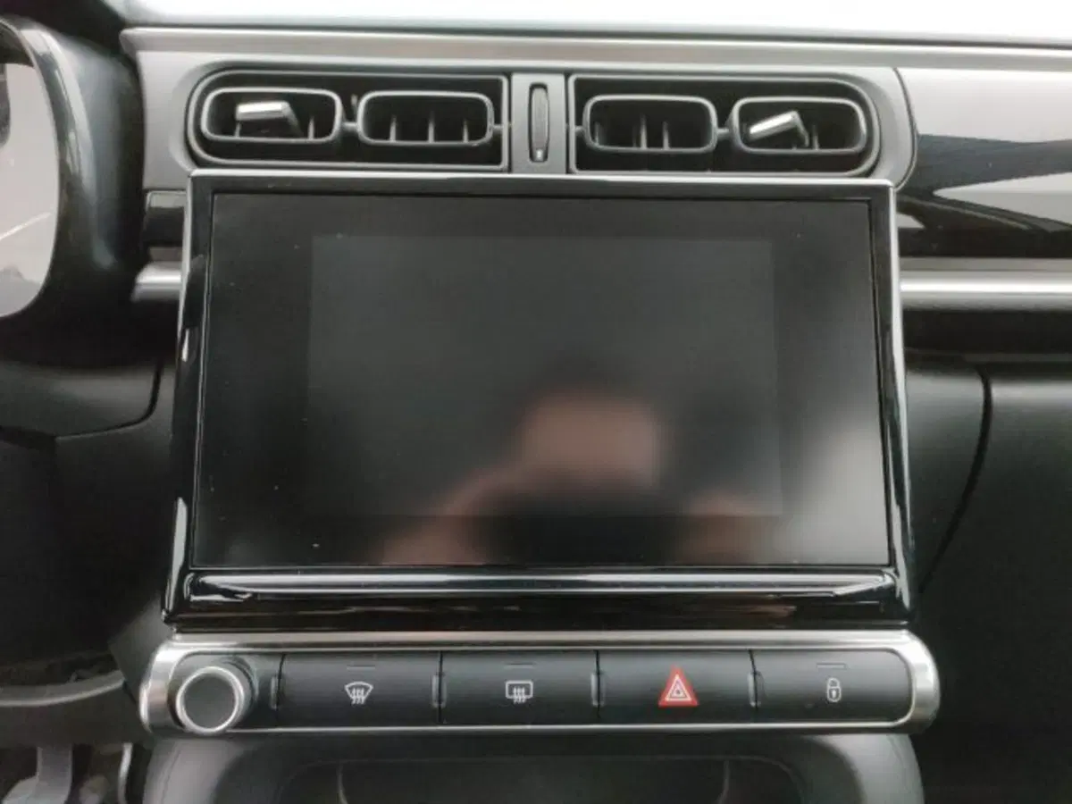 Citroen C3 usata a Torino (14)