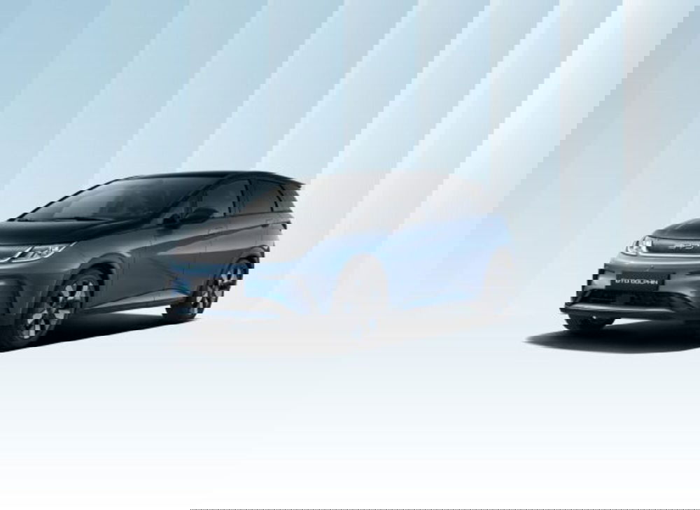 Byd Dolphin Surf nuova a Torino