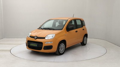 Fiat Panda 1.0 firefly hybrid s&amp;s 70cv 5p.ti del 2021 usata a Torino