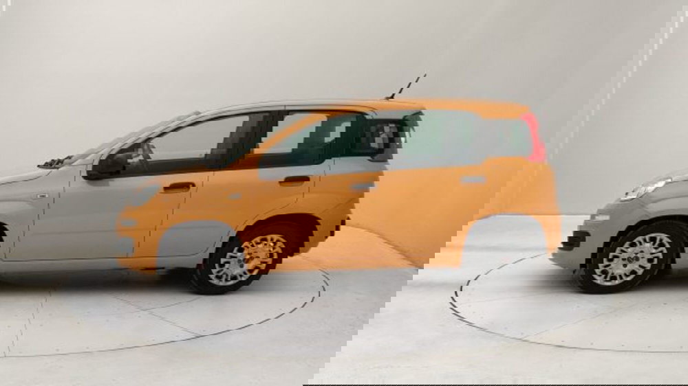 Fiat Panda usata a Torino (2)