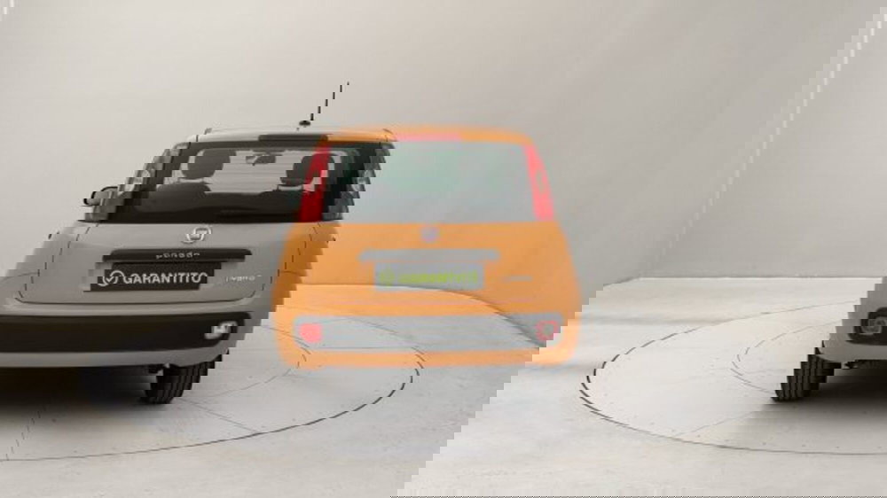 Fiat Panda usata a Torino (4)