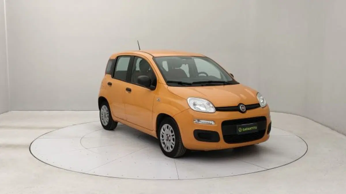 Fiat Panda usata a Torino (7)