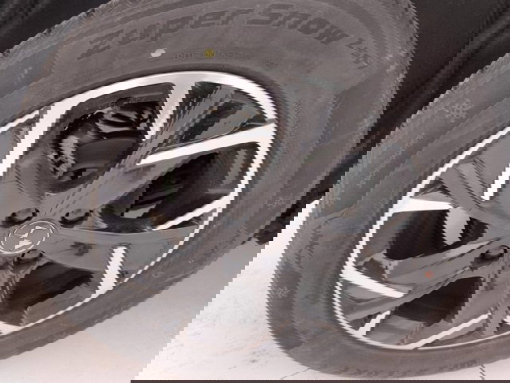 Ds DS 3 usata a Torino (19)