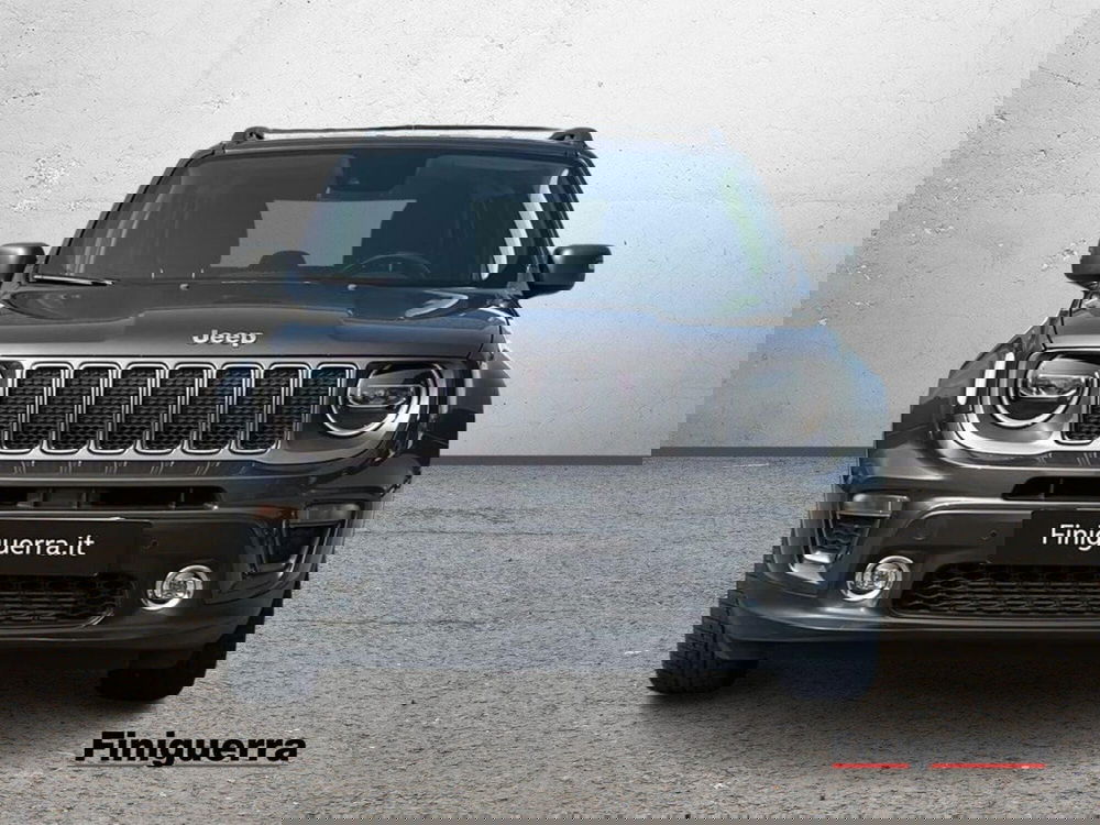 Jeep Renegade usata a Sondrio (2)