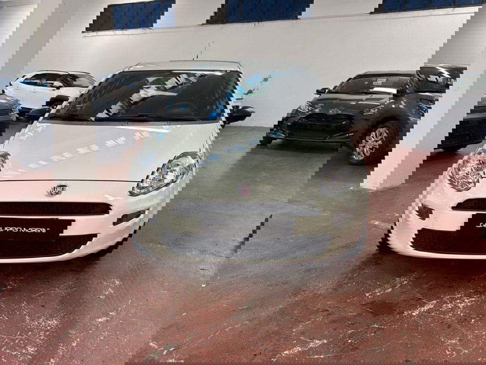 Fiat Punto usata a Bologna