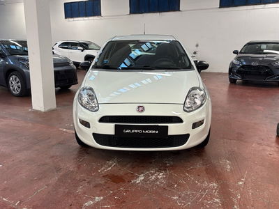 Fiat Punto 1.4 8V 5 porte Easypower Street del 2018 usata a San Lazzaro di Savena