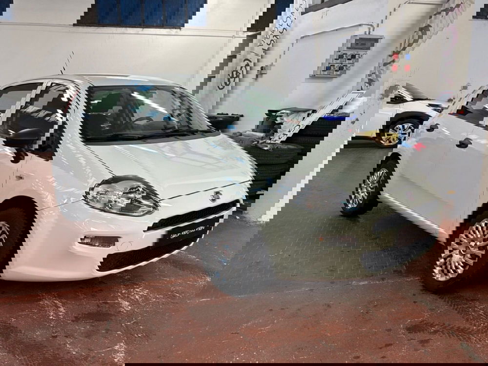 Fiat Punto usata a Bologna (2)