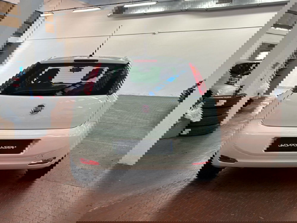 Fiat Punto usata a Bologna (4)