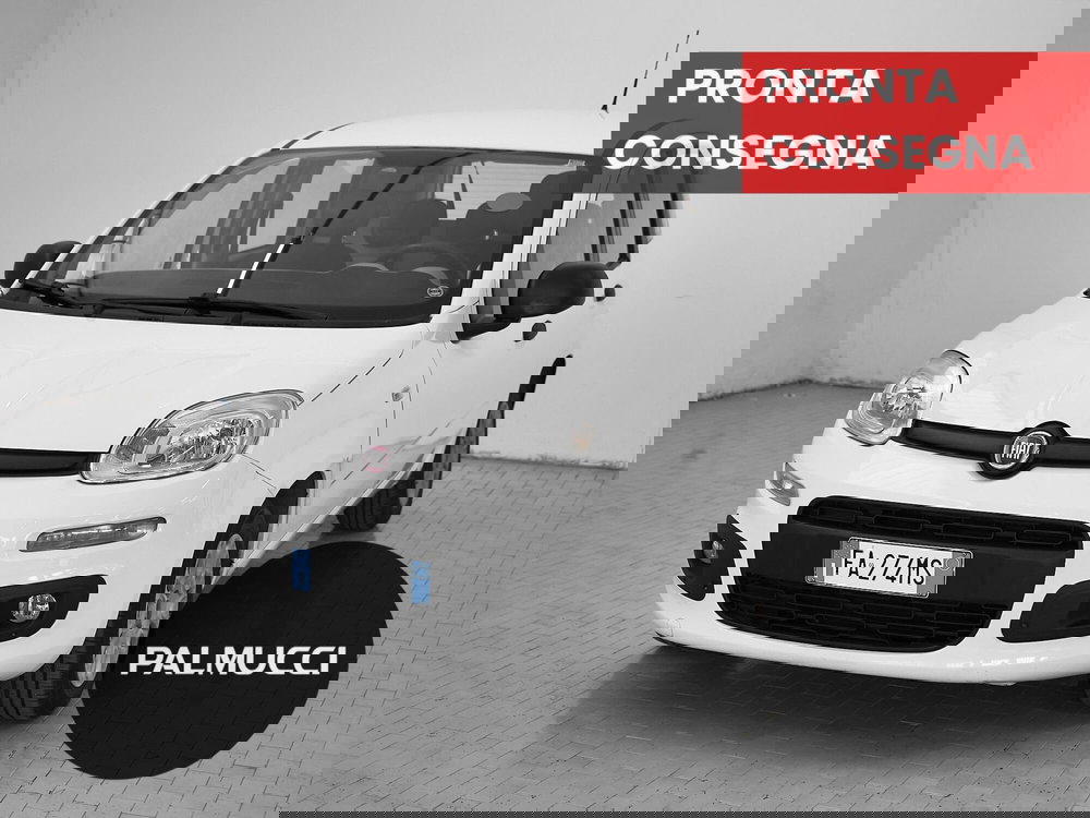 Fiat Panda usata a Prato