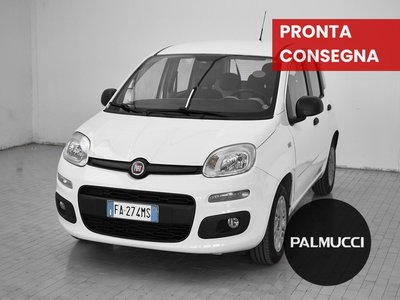 Fiat Panda 1.2 Easy del 2015 usata a Prato