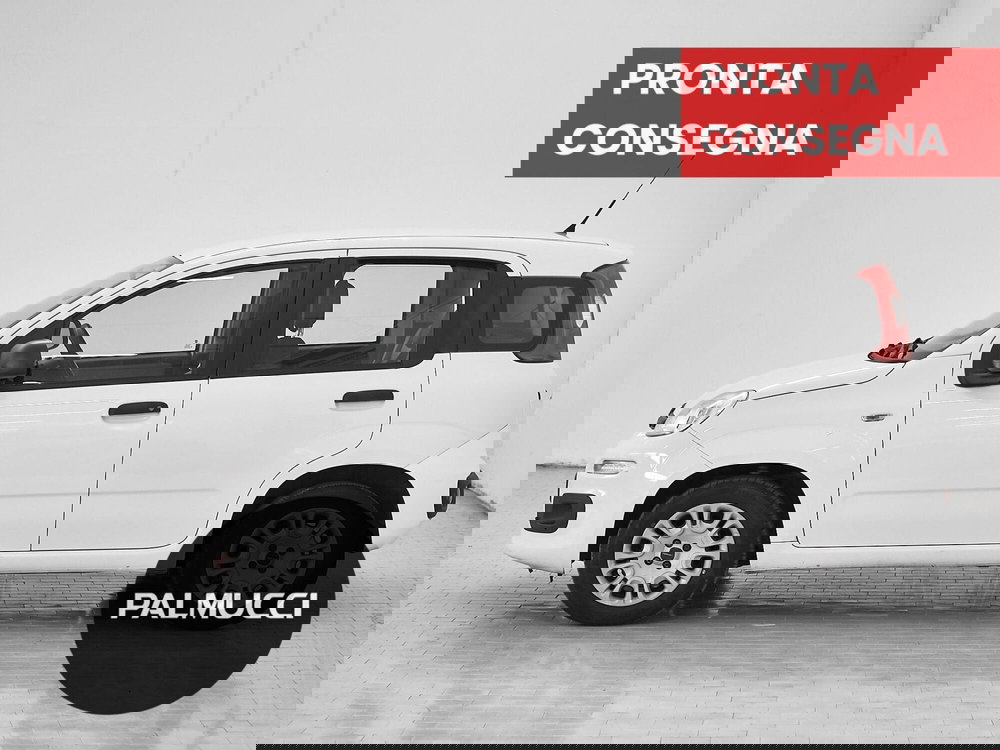 Fiat Panda usata a Prato (4)