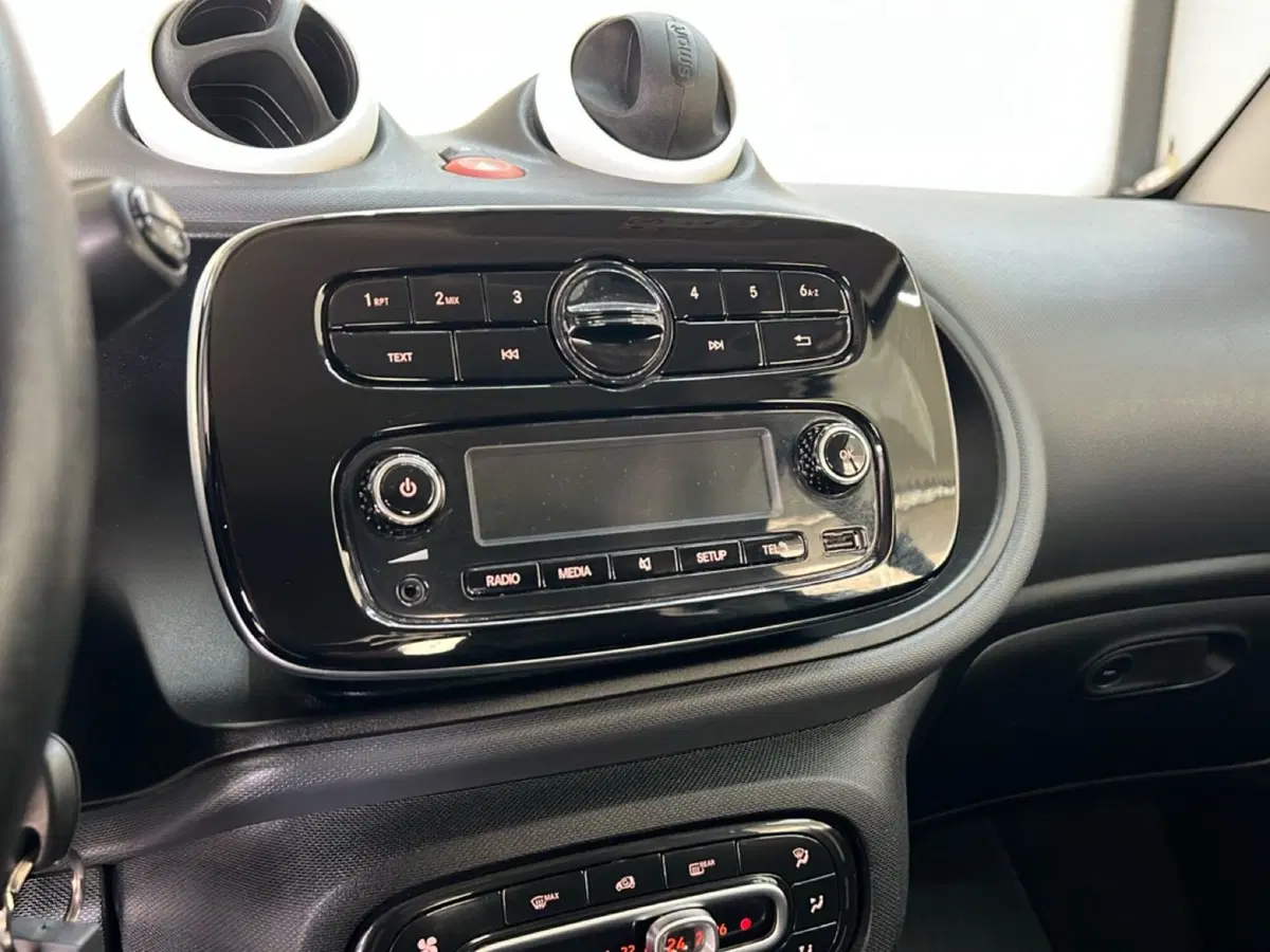 smart Fortwo usata a Roma (16)