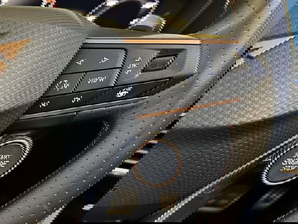 Cupra Formentor usata a Vicenza (17)