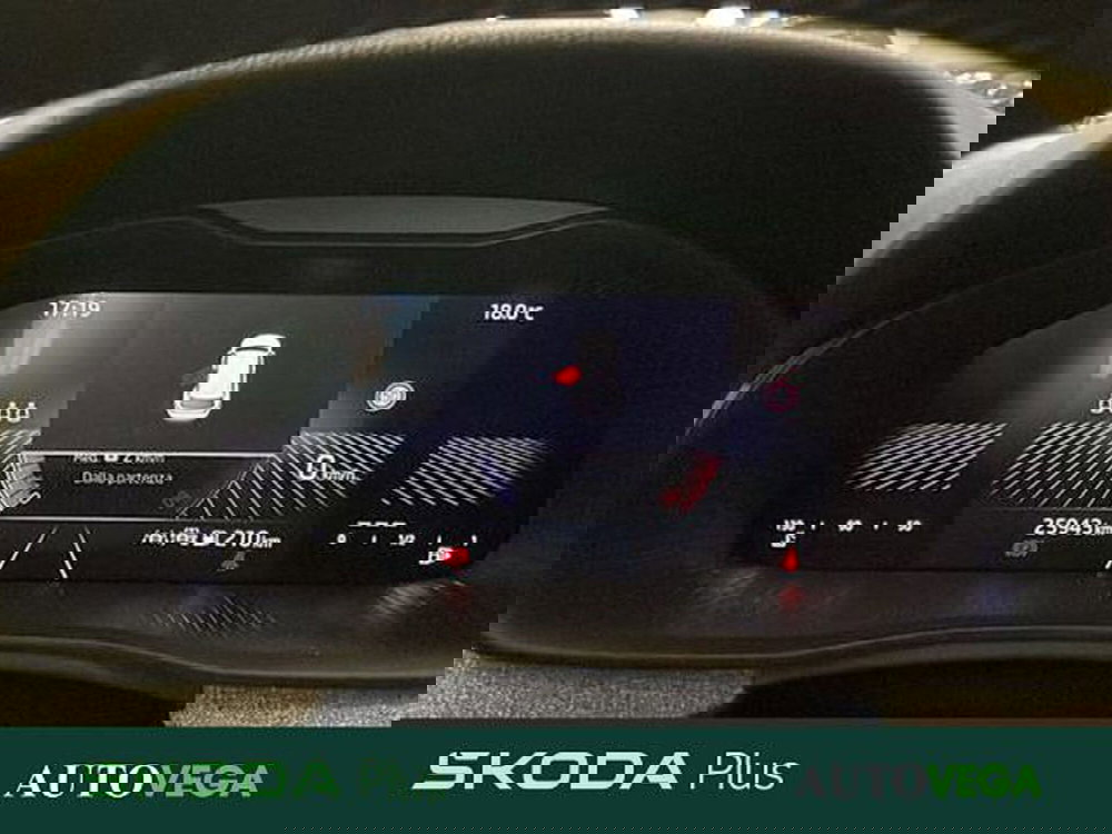 Skoda Kamiq usata a Vicenza (13)