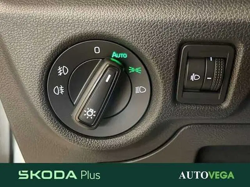Skoda Kamiq usata a Vicenza (14)