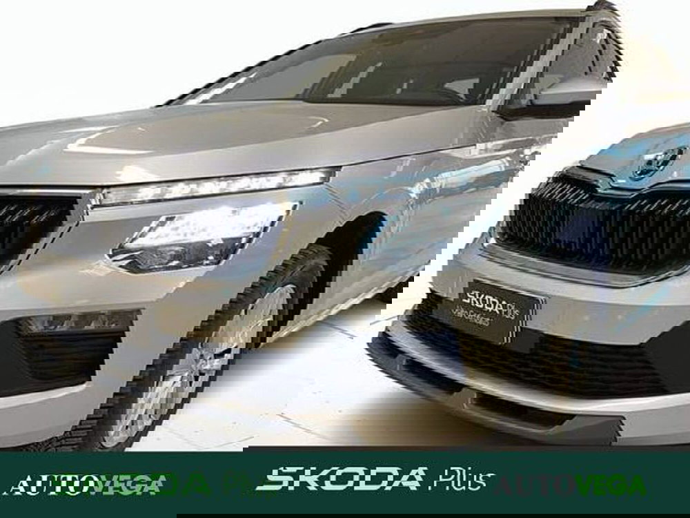 Skoda Kamiq usata a Vicenza (19)