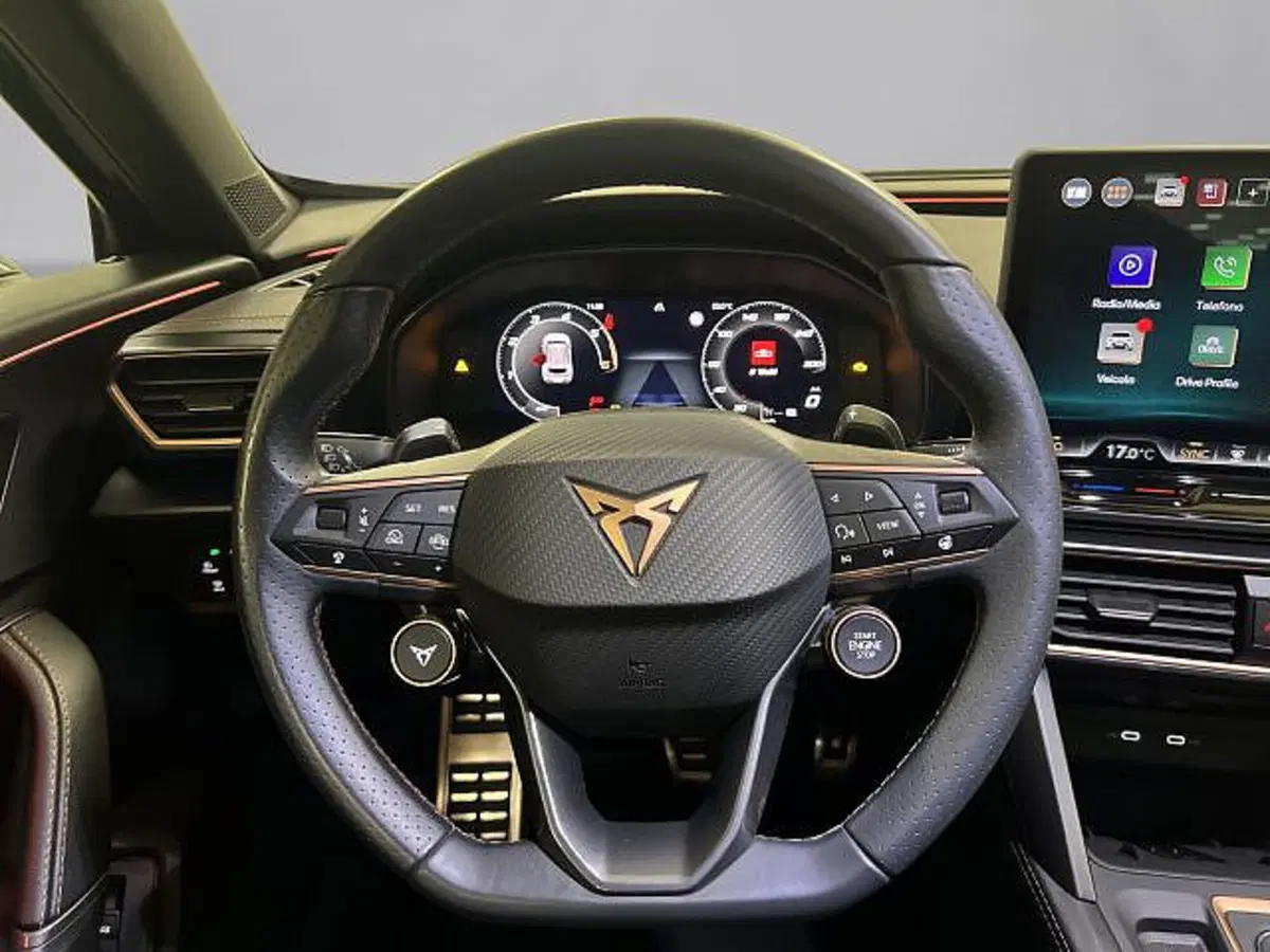 Cupra Formentor usata a Vicenza (9)