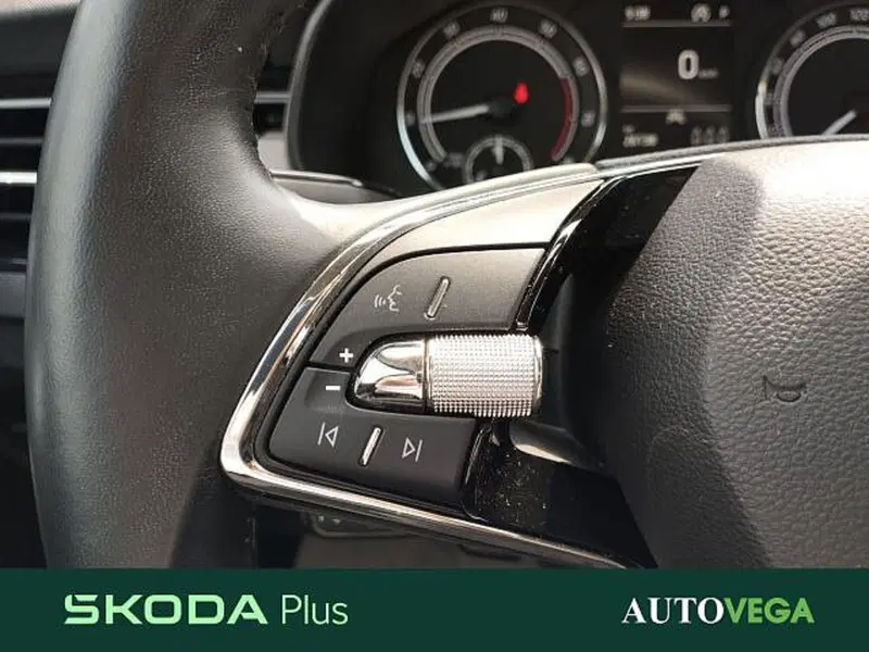 Skoda Kamiq usata a Vicenza (10)