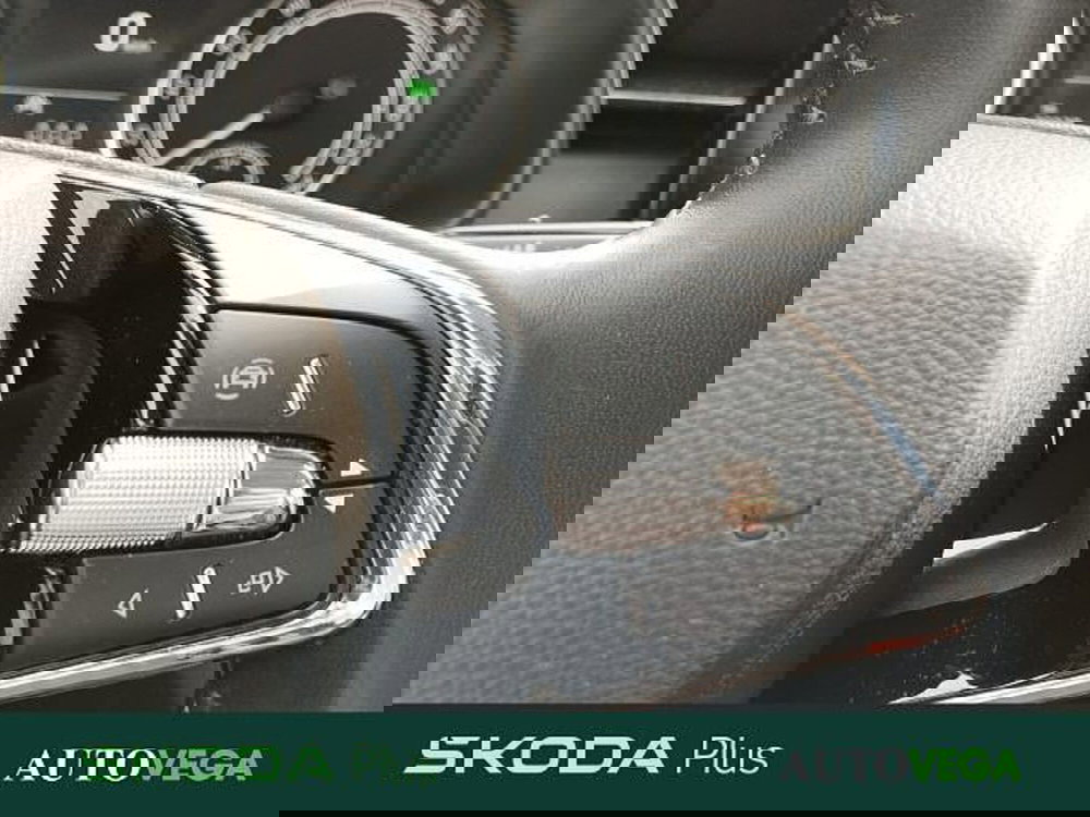 Skoda Kamiq usata a Vicenza (11)