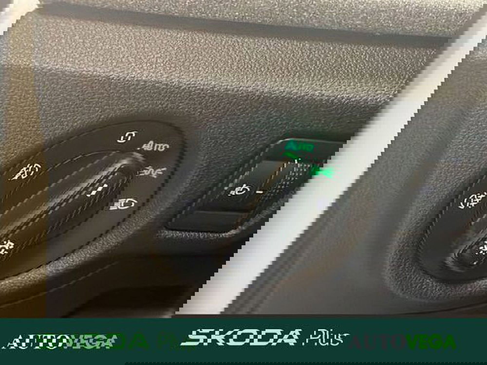 Skoda Kamiq usata a Vicenza (15)