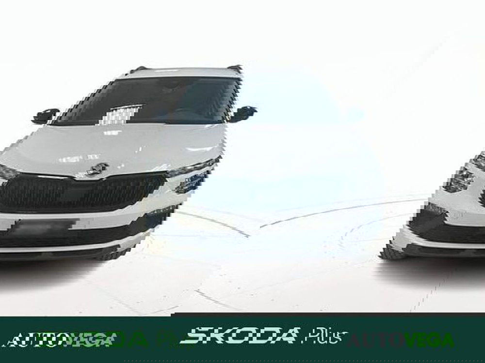 Skoda Kamiq usata a Vicenza (2)