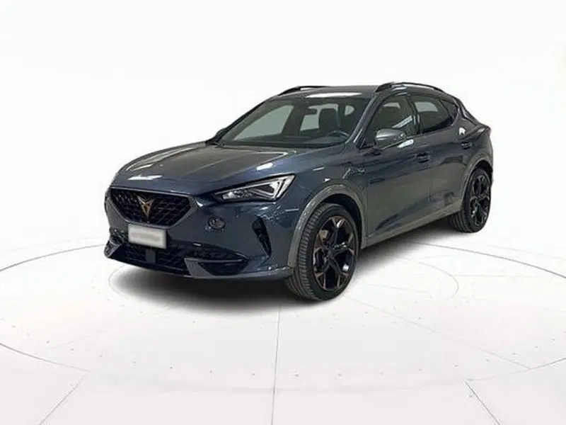 Cupra Formentor usata a Vicenza