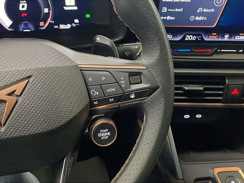 Cupra Formentor usata a Vicenza (16)