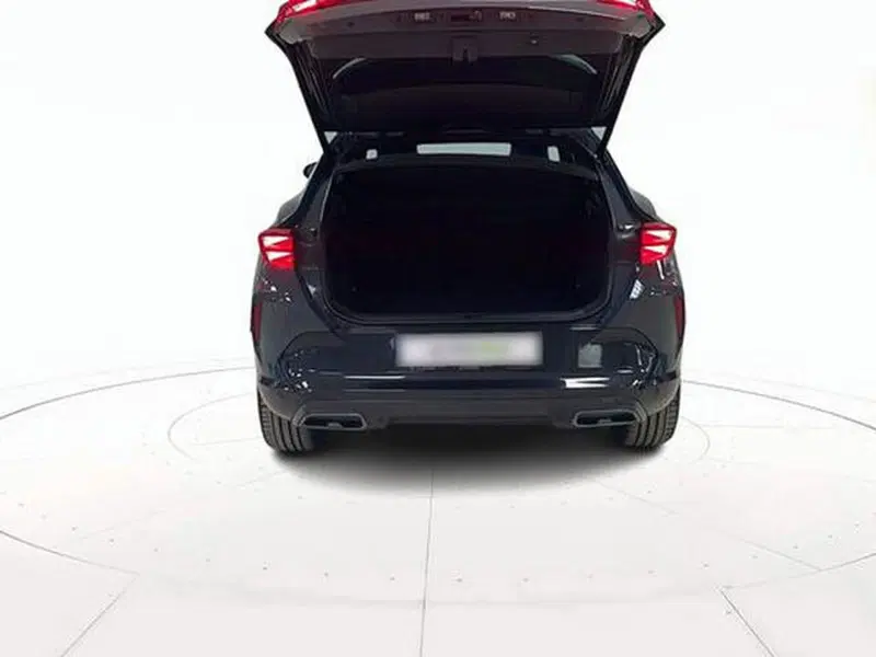 Cupra Formentor usata a Vicenza (19)